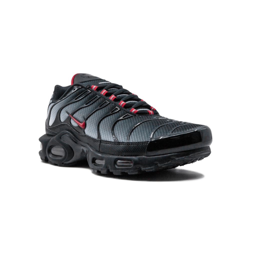 Air Max Plus Blue and Red
