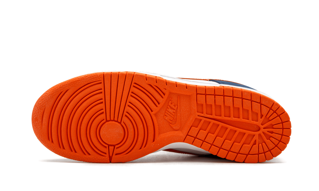 SB Dunk Low Broncos