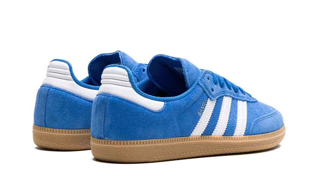Samba Adv Blue Bird