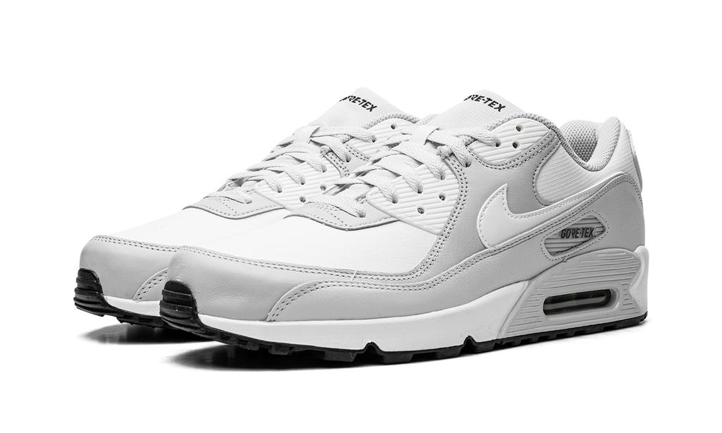 Air Max 90 Gore-Tex