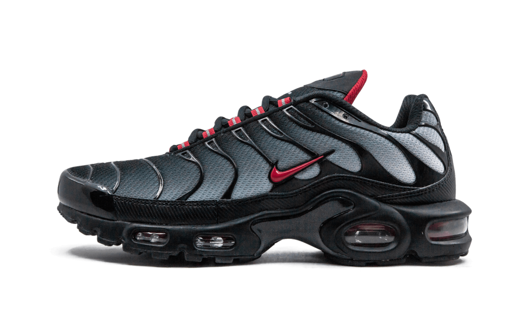 Air Max Plus Blue and Red