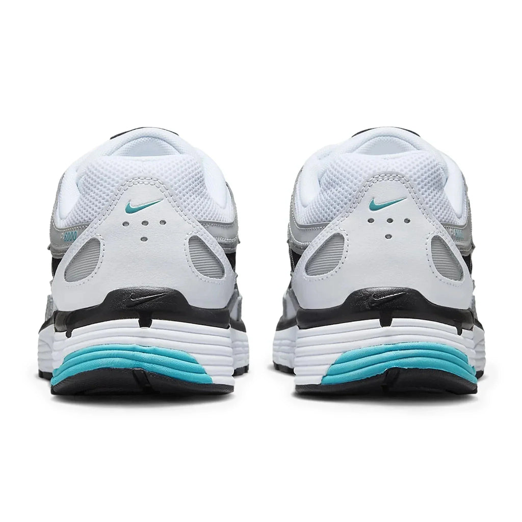 P-6000 Dusty Cactus