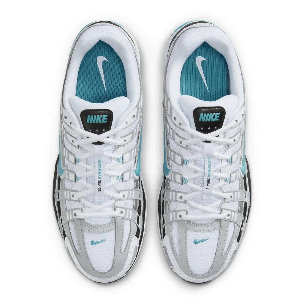 P-6000 Dusty Cactus