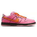 The Powerpuff Girls SB Dunk Low Blossom