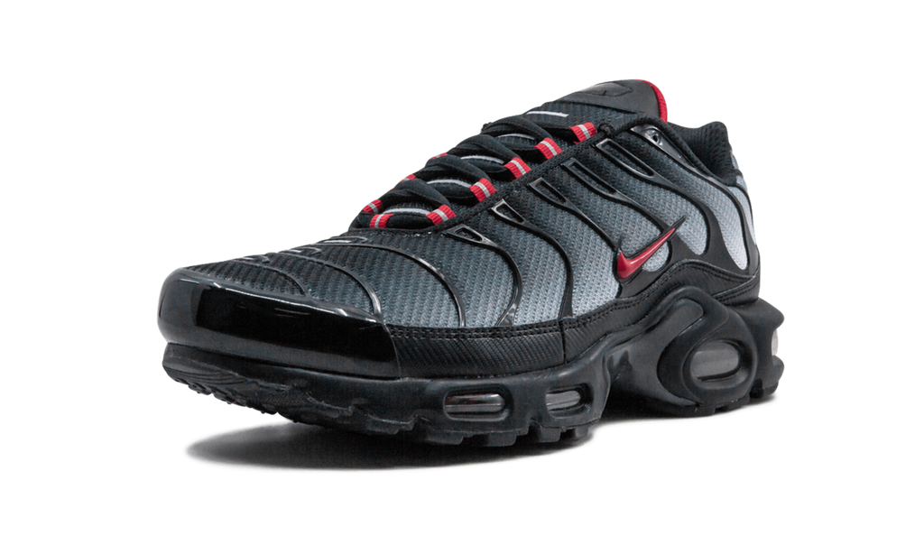 Air Max Plus Blue and Red